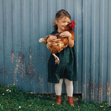 Lamington Tights (3 colours)