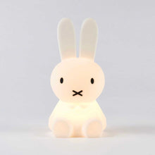 Miffy Bundle of Light